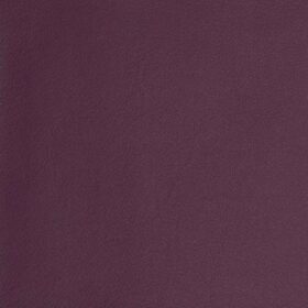 Plain Leather - Aubergine HL12