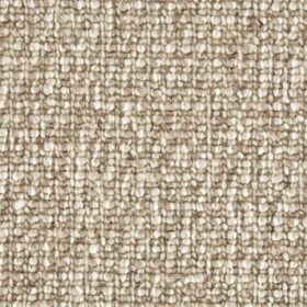 Treasure - Hidden Fossil WT503