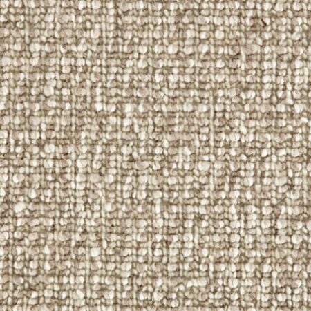 Treasure - Hidden Fossil WT503