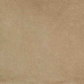 Worn Leather - Parchment OL1