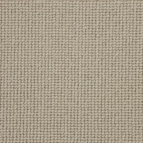 Buttercup - Gentle Oyster WB101