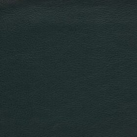 Plain Leather - Bottle HL20