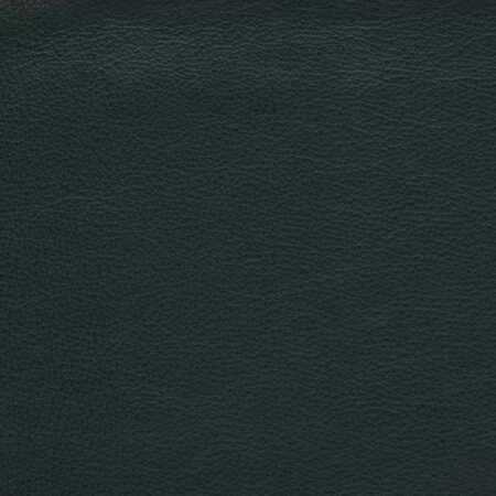 Plain Leather - Bottle HL20