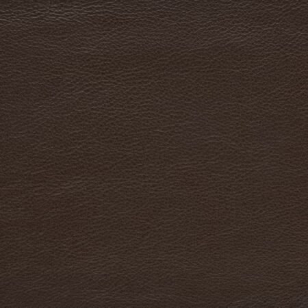 Plain Leather - Cocoa HL21